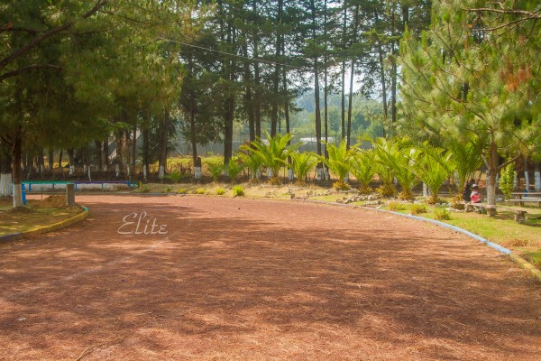 naturaleza